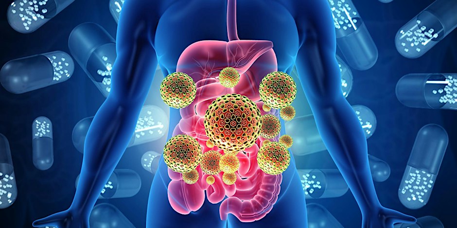 Mastering the Gut & Microbiome: The Epicenter of Health in the 21st Century