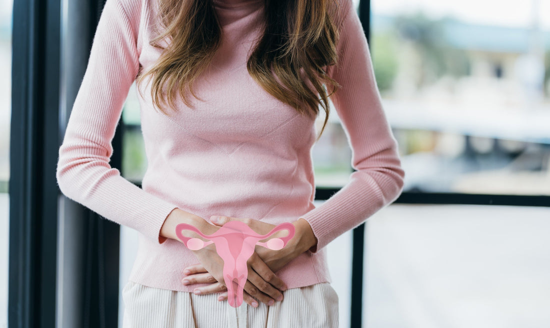 The Female Microbiome Connection: Understanding the Gut-Vaginal-Urinary Axis for Better Patient Outcomes