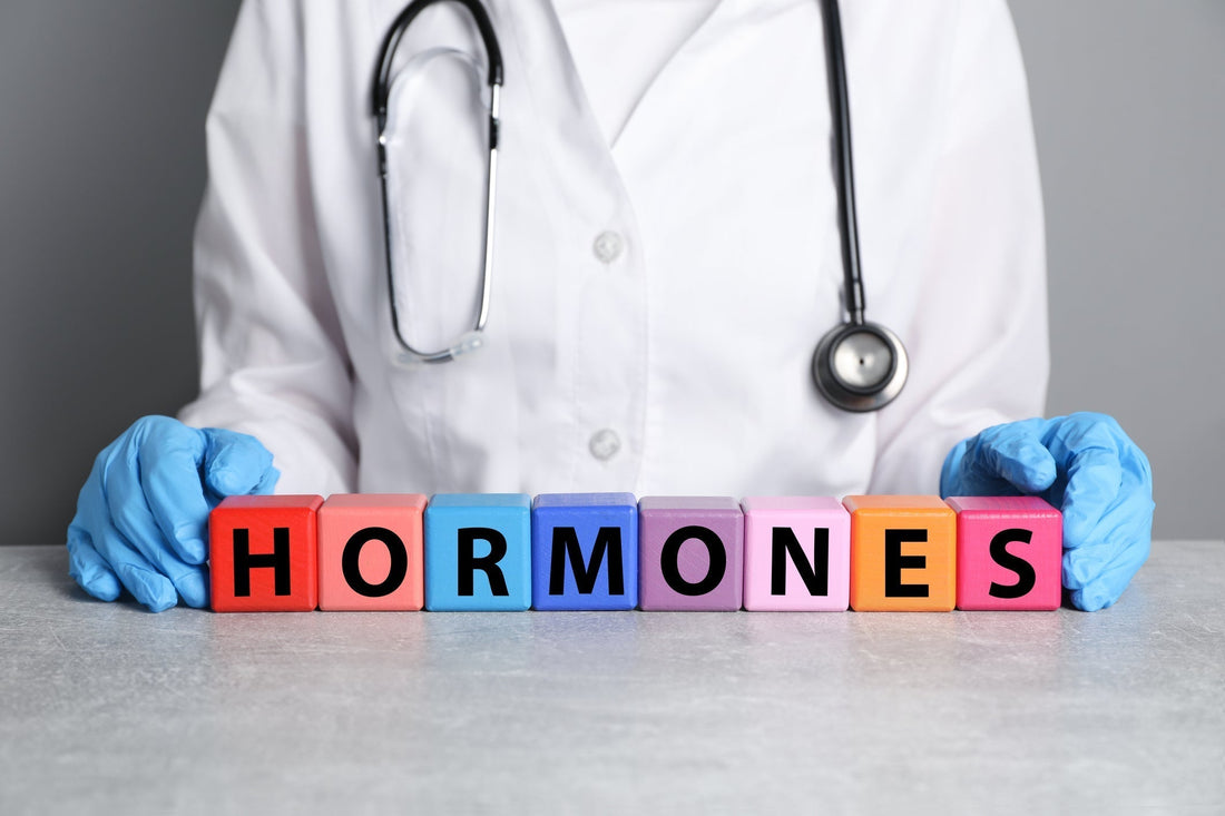 New Hormone Landscape: What's Changed and How to Support Your Patients