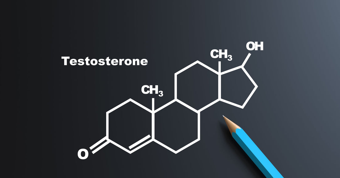 Men's Health Series: Restoring Testosterone Naturally - Part 1: The Male Hormonal Crisis Demystified