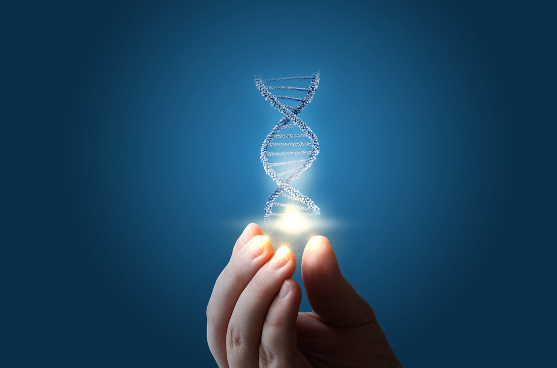 Unlocking the Secrets of Well-Being: Harnessing Genetic Insights to Personalize Patient Care
