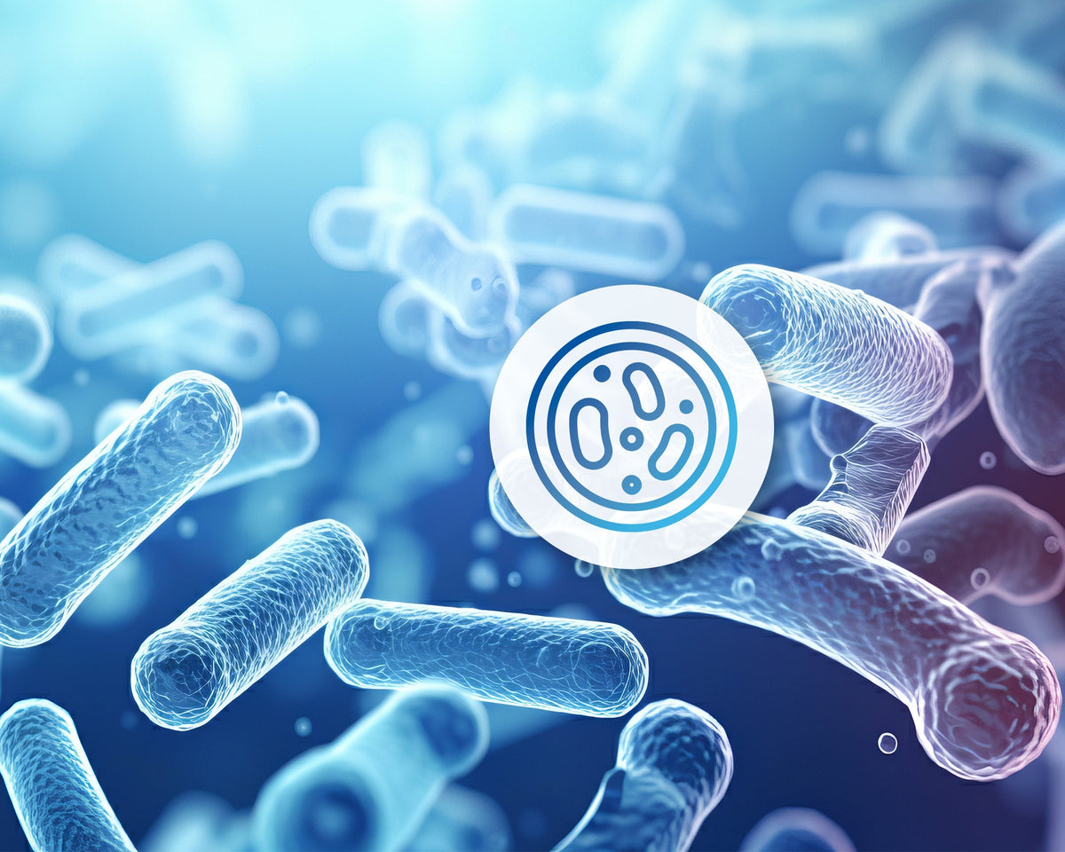 Enzymes & Probiotics