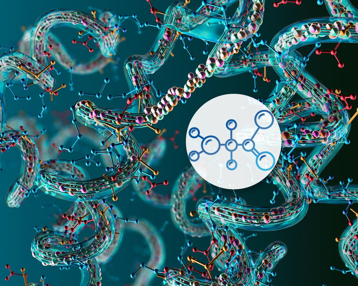 Amino Acids