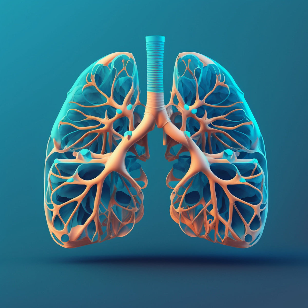 Lung / Respiratory