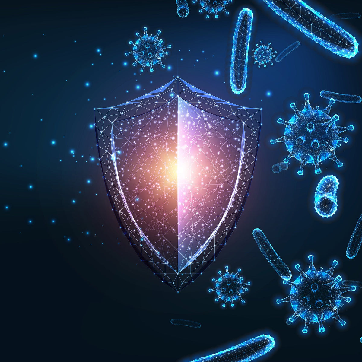 Immune Support