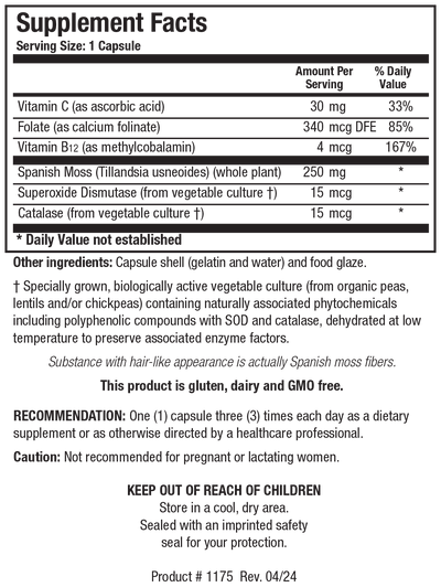 B12/Folate Plus™