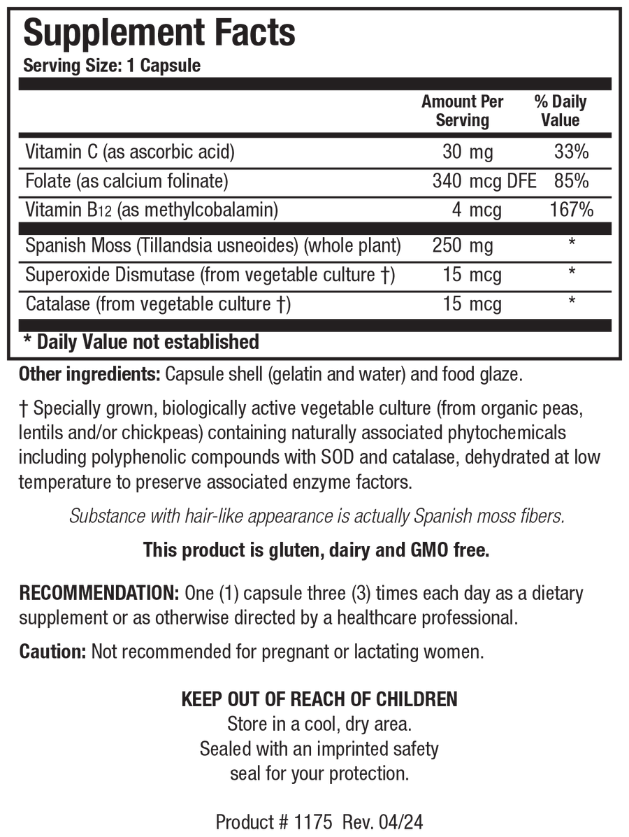 B12/Folate Plus™