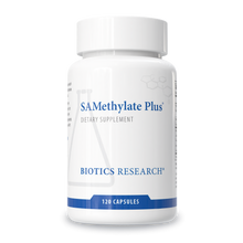SAMethylate Plus™