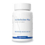 SAMethylate Plus™