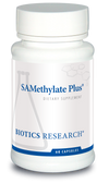 SAMethylate Plus™